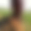 A.
