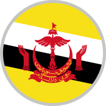 Бруней Flag