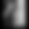 Y.