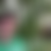 B.