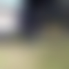 M.