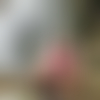 A.